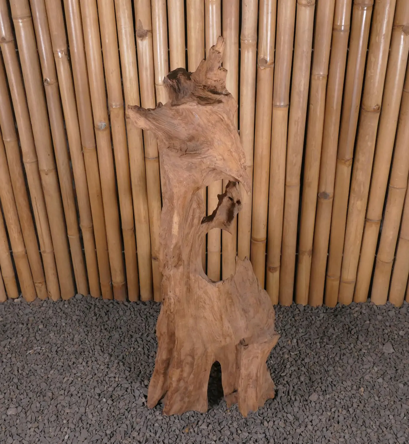  Product image 2 of the product “Root made of teak wood about 110cm height ”